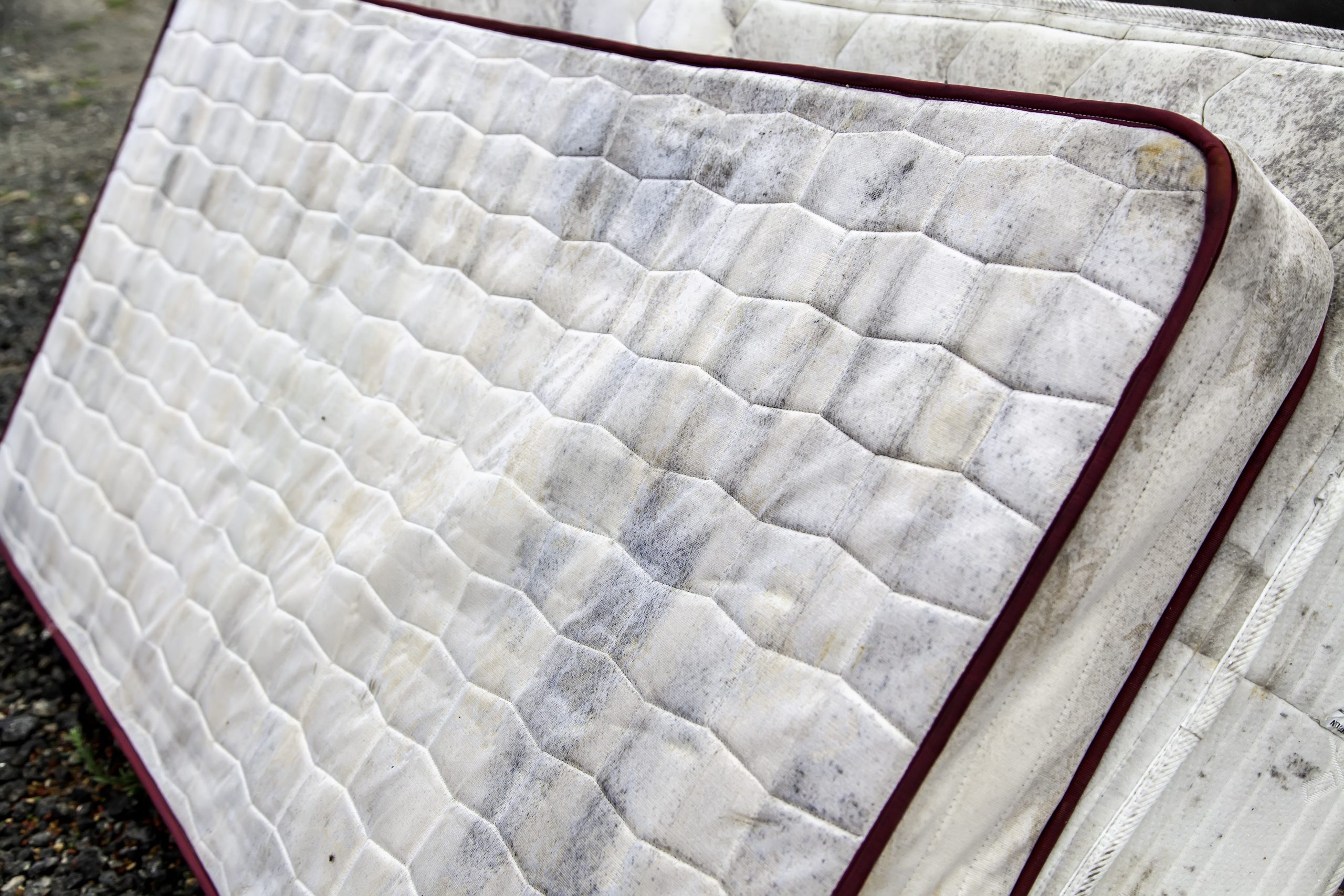 Can you save a mattress that has bed bugs?