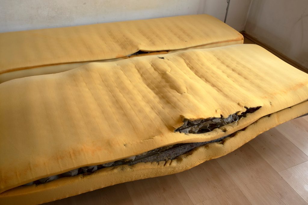 Does getting rid of a mattress get rid of bed bugs?