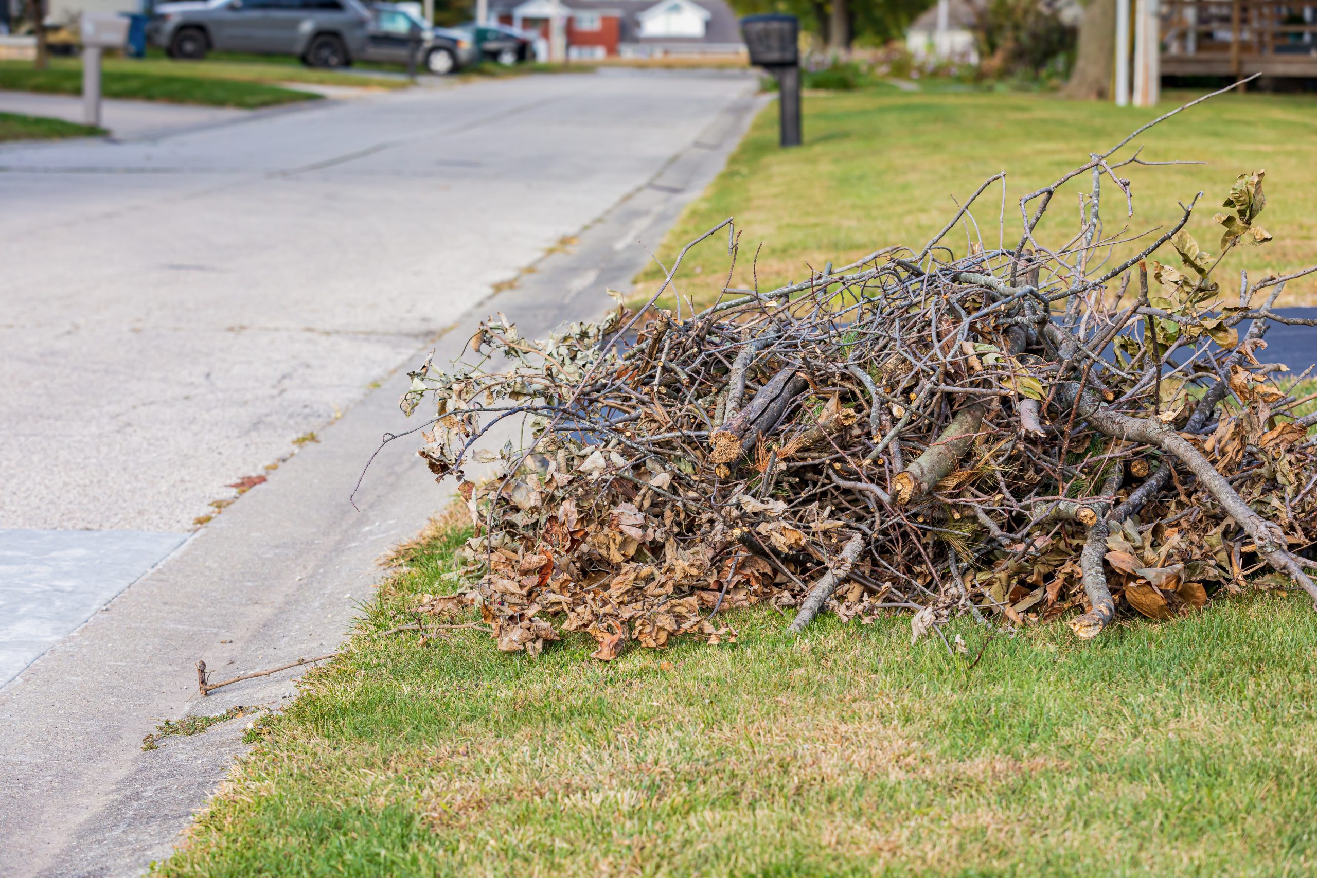 Can The Junk Guys remove yard waste from hard-to-reach areas of my property? - faq - The Junk Guys
