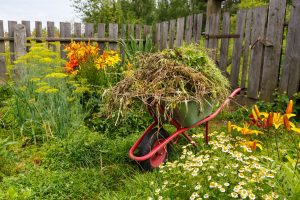 The Benefits of Professional Yard Waste Removal: Why Hiring The Junk Guys is Worthwhile