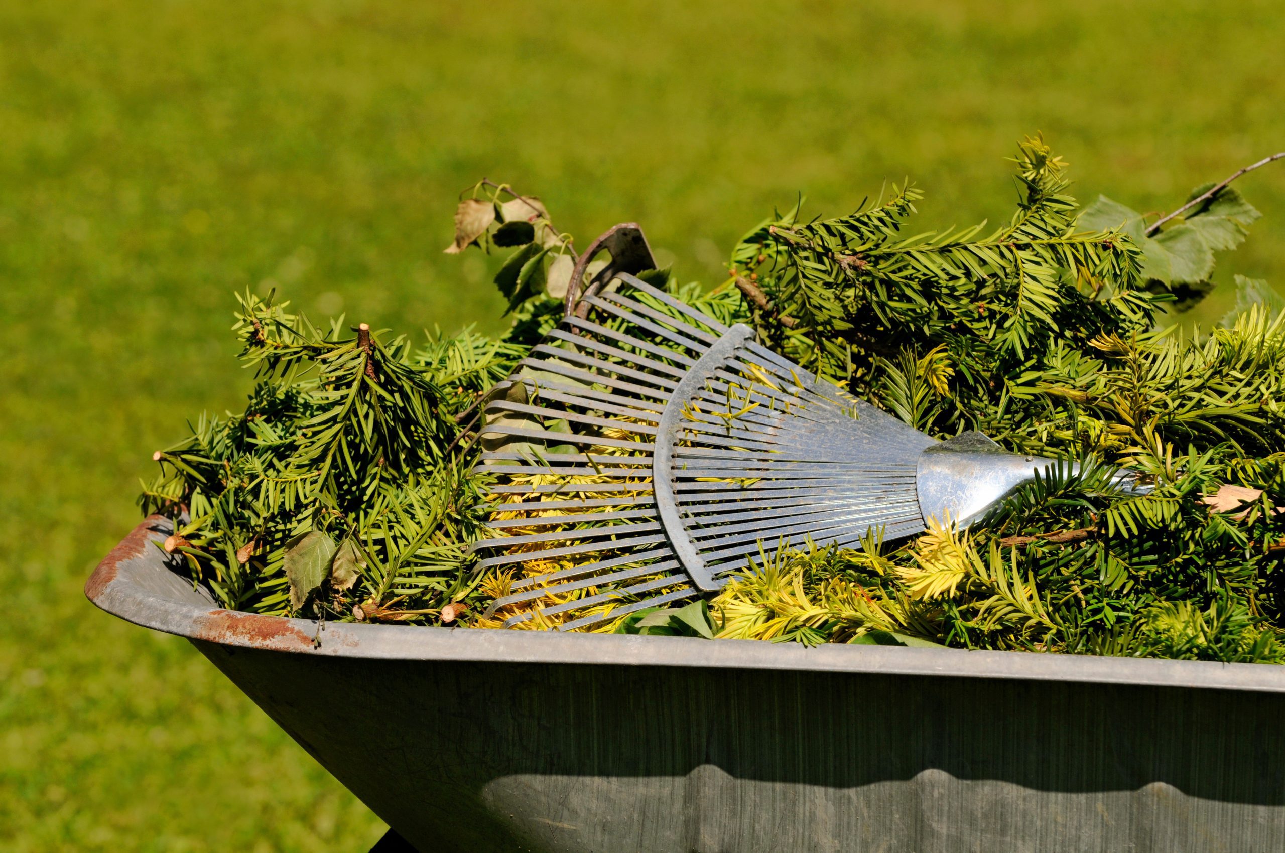 What types of yard waste does The Junk Guys remove? - faq - The Junk Guys