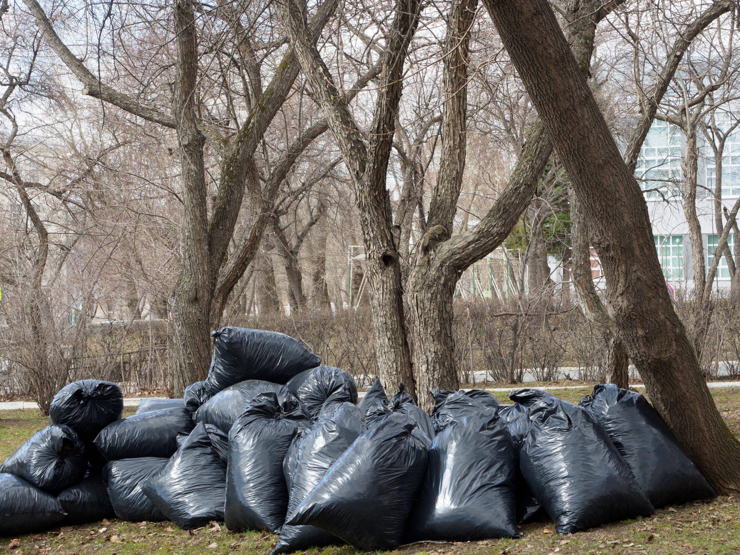 Can The Junk Guys assist with yard waste removal for commercial properties in Edmonton?